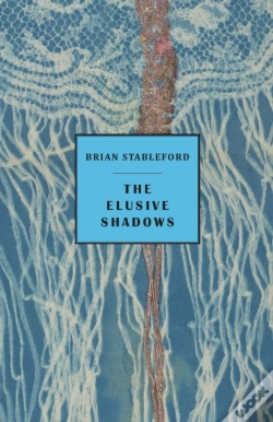 Capa do artigo The Elusive Shadows