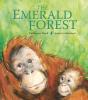 The Emerald Forest - Preview