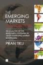 The Emerging Markets Handbook - Preview
