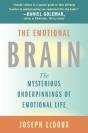 The Emotional Brain - Preview