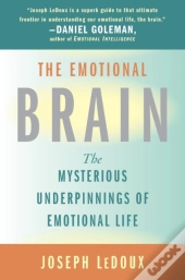 The Emotional Brain
