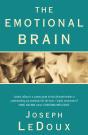 The Emotional Brain - Preview