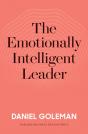 The Emotionally Intelligent Leader - Preview