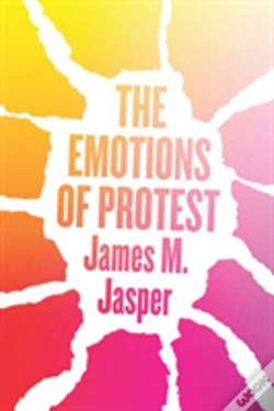 Capa do artigo The Emotions Of Protest
