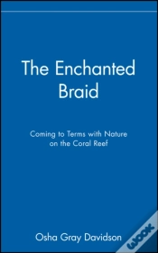 Capa do artigo The Enchanted Braid