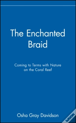 Capa do artigo The Enchanted Braid