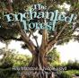 The Enchanted Forest - Preview