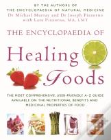 The Encyclopaedia Of Healing Foods