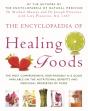 The Encyclopaedia Of Healing Foods - Preview