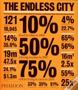 Capa do artigo The Endless City