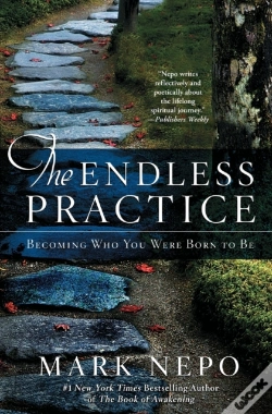 Capa do artigo The Endless Practice
