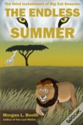 The Endless Summer