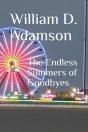 The Endless Summers Of Goodbyes - Preview