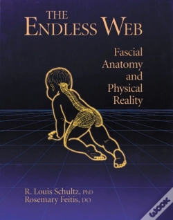 Capa do artigo The Endless Web