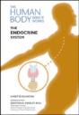 The Endocrine System - Preview