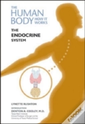The Endocrine System