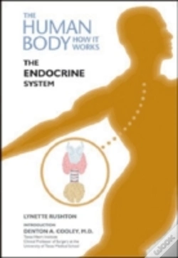 Capa do artigo The Endocrine System