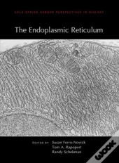 The Endoplasmic Reticulum