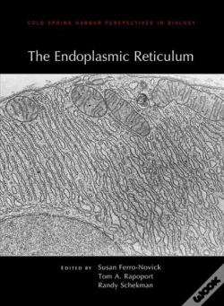 Capa do artigo The Endoplasmic Reticulum