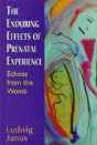 The Enduring Effects Of Prenatal Experience - Preview
