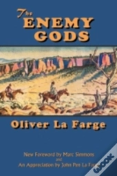 The Enemy Gods