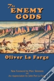 Capa do artigo The Enemy Gods
