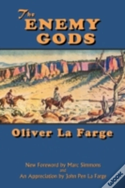 Capa do artigo The Enemy Gods
