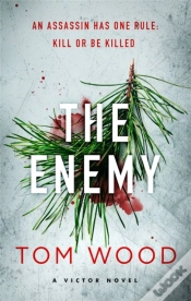 Capa do artigo The Enemy