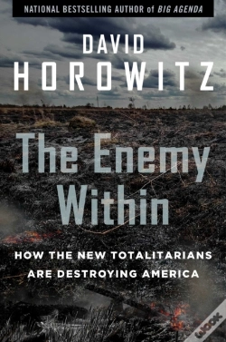 Capa do artigo The Enemy Within