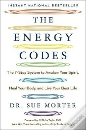 Capa do artigo The Energy Codes