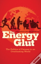 Capa do artigo The Energy Glut