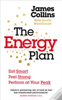 Capa do artigo The Energy Plan