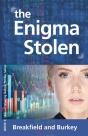 The Enigma Stolen - Preview
