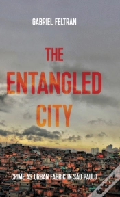 Capa do artigo The Entangled City