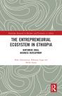 The Entrepreneurial Ecosystem In Ethiopia - Preview