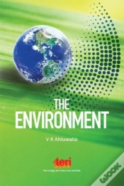 Capa do artigo The Environment