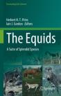 The Equids - Preview