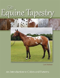 The Equine Tapestry - Preview