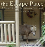 Capa do artigo The Escape Place