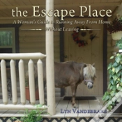 Capa do artigo The Escape Place