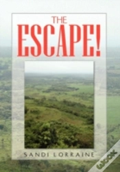 Capa do artigo The Escape!