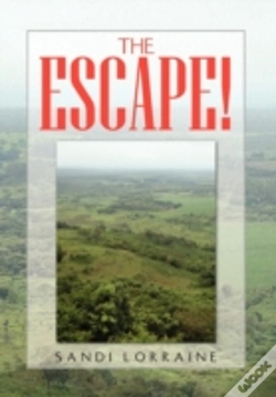 Capa do artigo The Escape!