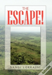 Capa do artigo The Escape!