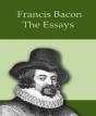 The Essays - Preview