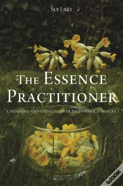 Capa do artigo The Essence Practitioner