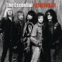 The Essential Aerosmith - CD - Preview