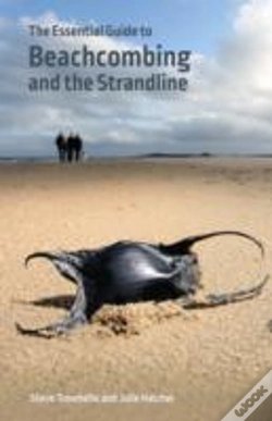 Capa do artigo The Essential Guide To Beachcombing And The Strandline