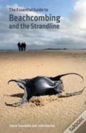 Capa do artigo The Essential Guide To Beachcombing And The Strandline