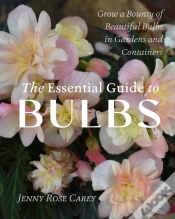Capa do artigo The Essential Guide To Bulbs