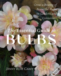 Capa do artigo The Essential Guide To Bulbs